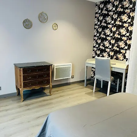 Le Cosy De La Dent Du - Classe 3 Etoiles - Hyper Centre Aix Les Bains אקס-לה-באינס
